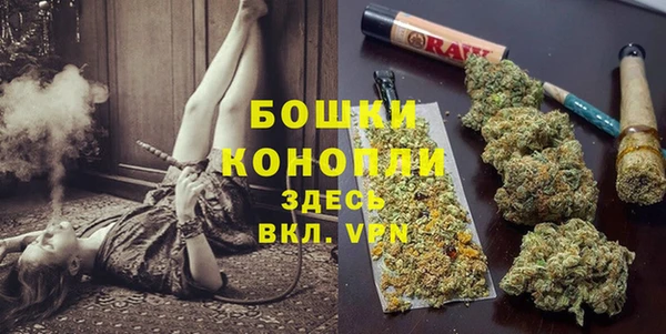 хмурый Аркадак