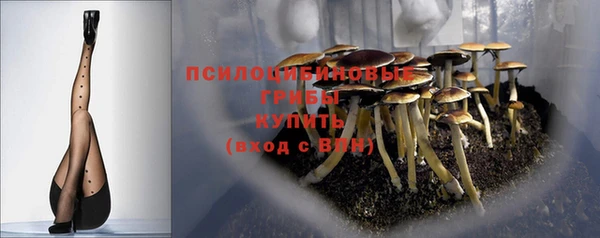 индика Армянск