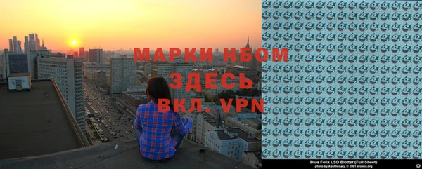 хмурый Аркадак