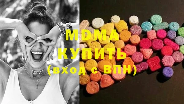 хмурый Аркадак