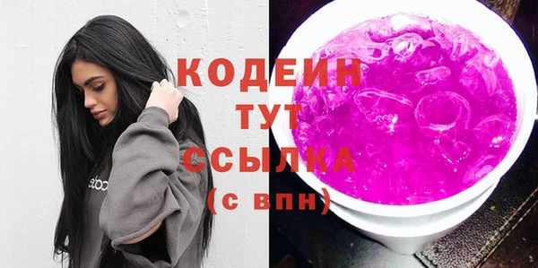 хмурый Аркадак