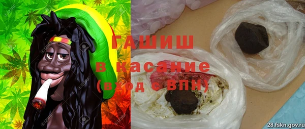 хмурый Аркадак
