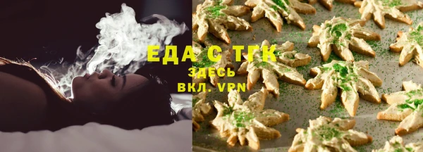 индика Армянск