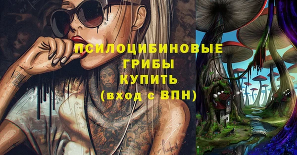 спайс Арсеньев