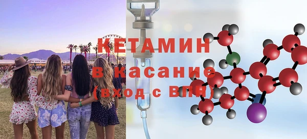 хмурый Аркадак