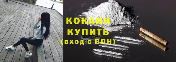 индика Армянск