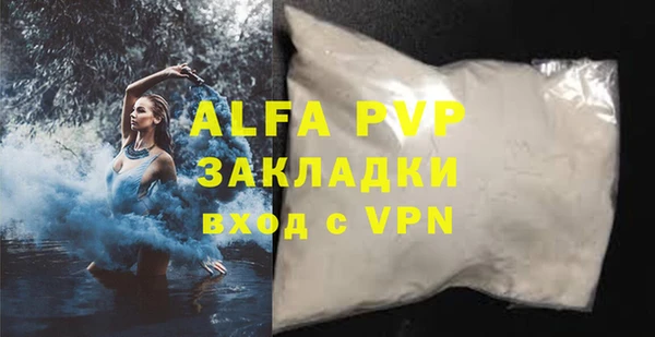 хмурый Аркадак